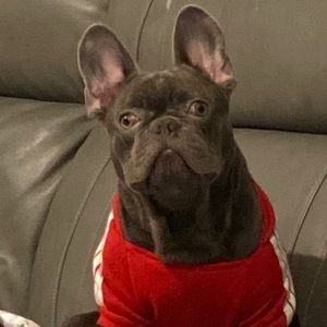 Meet your Posher, Nurse